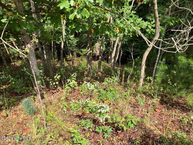 9 Yellow Maple Drive, Murphy, NC 28906