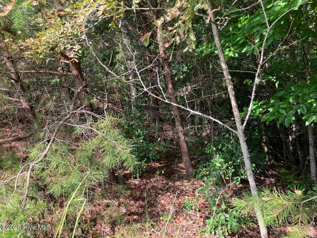 9 Yellow Maple Drive, Murphy, NC 28906