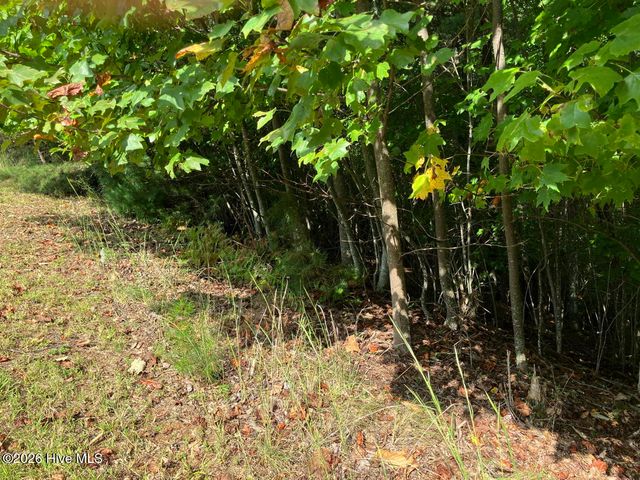 9 Yellow Maple Drive, Murphy, NC 28906