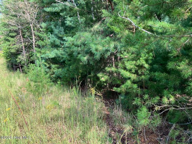 9 Yellow Maple Drive, Murphy, NC 28906