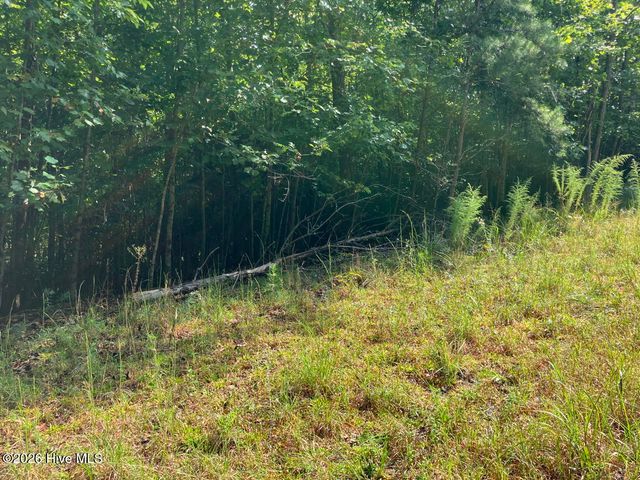 9 Yellow Maple Drive, Murphy, NC 28906
