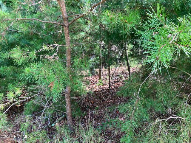 9 Yellow Maple Drive, Murphy, NC 28906