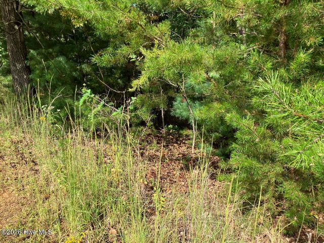 9 Yellow Maple Drive, Murphy, NC 28906