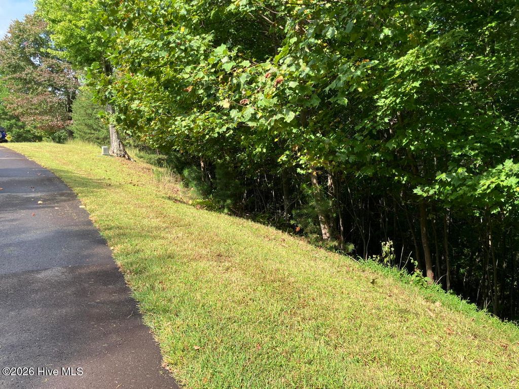 9 Yellow Maple Drive, Murphy, NC 28906