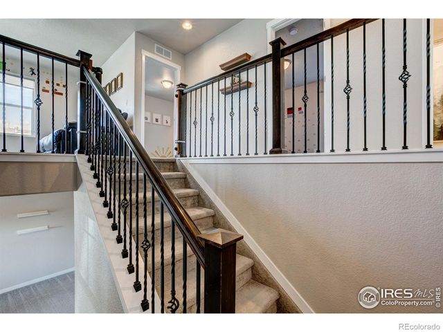 2137 Honeybee Drive, Windsor, CO 80550