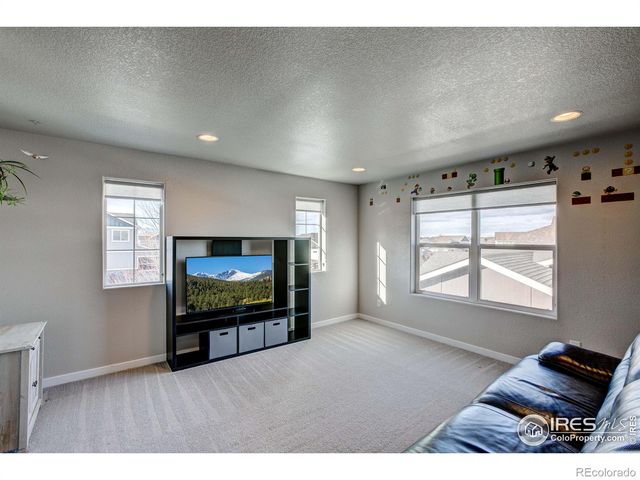 2137 Honeybee Drive, Windsor, CO 80550
