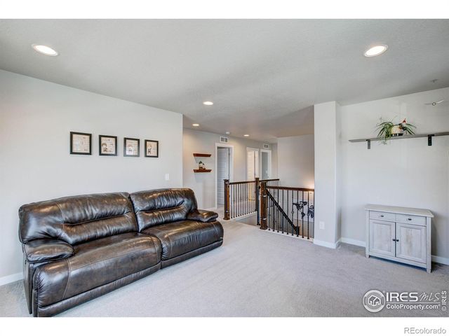 2137 Honeybee Drive, Windsor, CO 80550