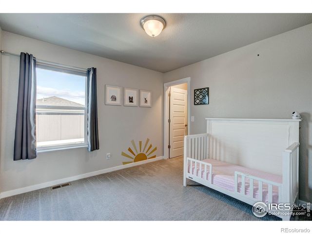 2137 Honeybee Drive, Windsor, CO 80550