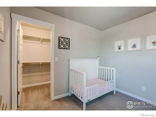 2137 Honeybee Drive, Windsor, CO 80550