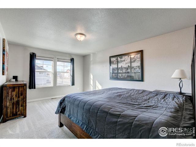 2137 Honeybee Drive, Windsor, CO 80550