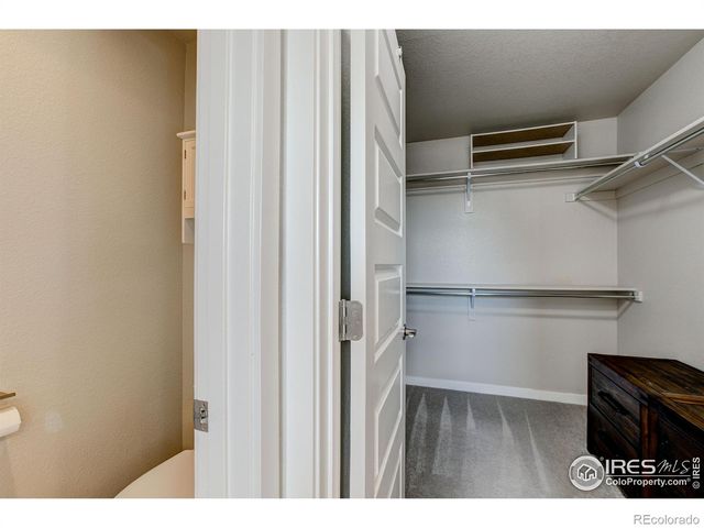 2137 Honeybee Drive, Windsor, CO 80550