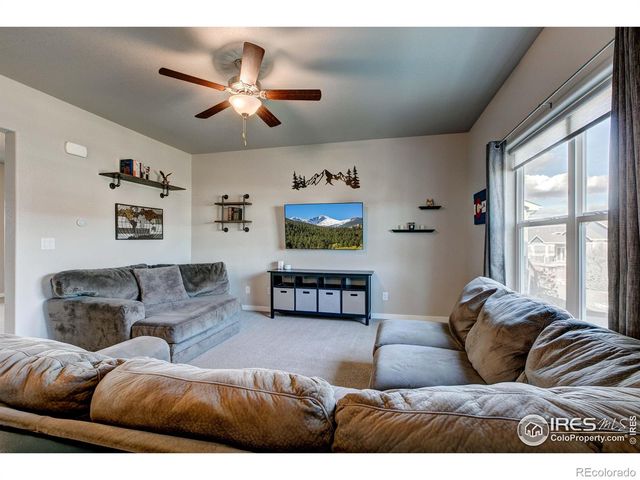 2137 Honeybee Drive, Windsor, CO 80550
