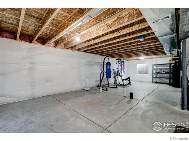 2137 Honeybee Drive, Windsor, CO 80550