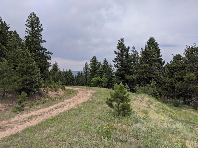 1312 Chute Rd, Golden, CO 80403