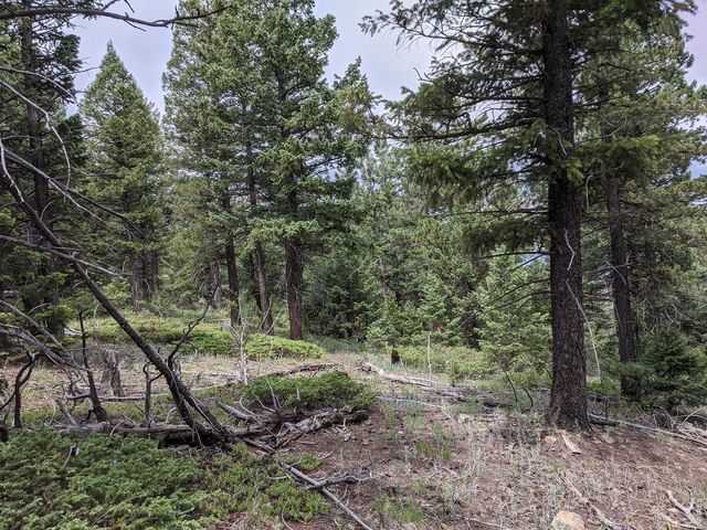 1312 Chute Rd, Golden, CO 80403