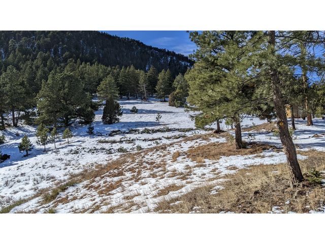 1312 Chute Rd, Golden, CO 80403