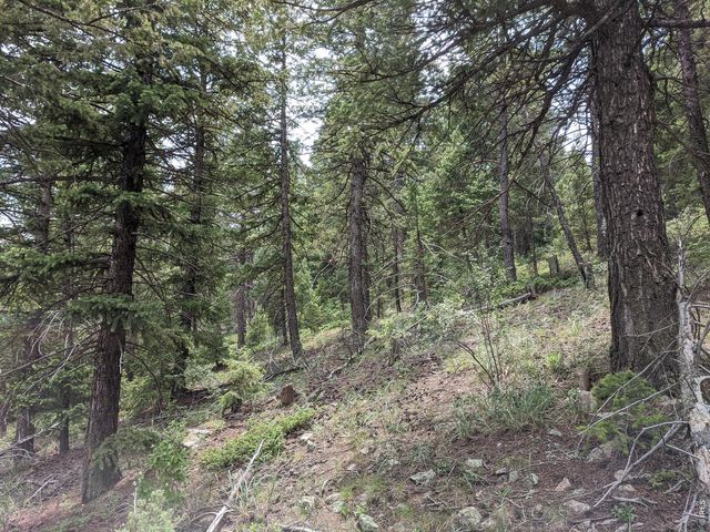 1312 Chute Rd, Golden, CO 80403