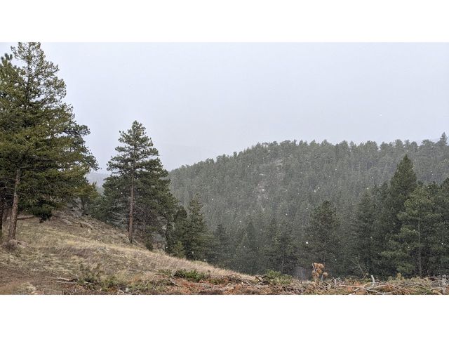 1312 Chute Rd, Golden, CO 80403
