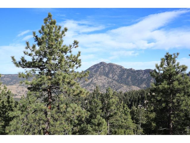 1312 Chute Rd, Golden, CO 80403