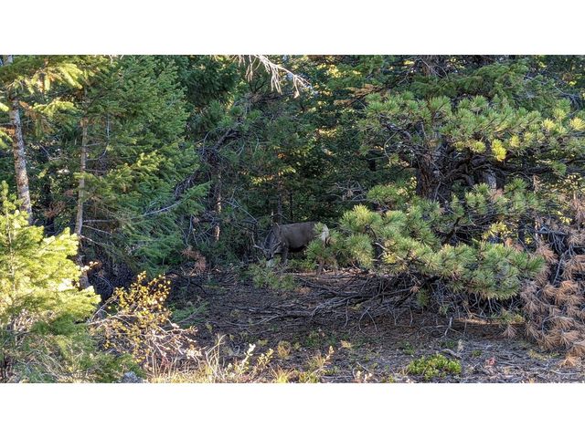1312 Chute Rd, Golden, CO 80403