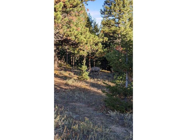 1312 Chute Rd, Golden, CO 80403
