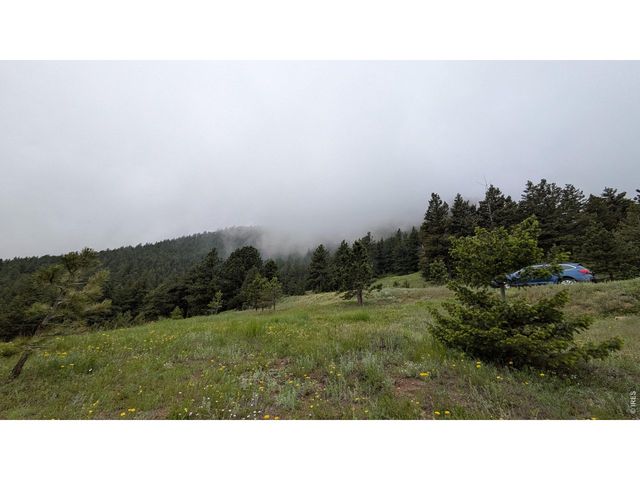 1312 Chute Rd, Golden, CO 80403