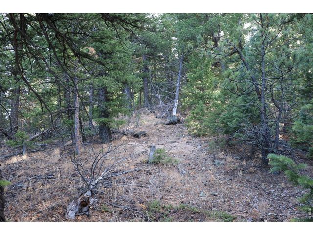 1312 Chute Rd, Golden, CO 80403