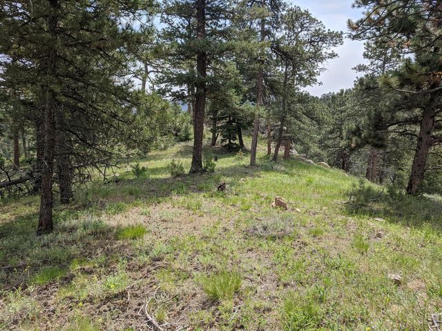 1312 Chute Rd, Golden, CO 80403
