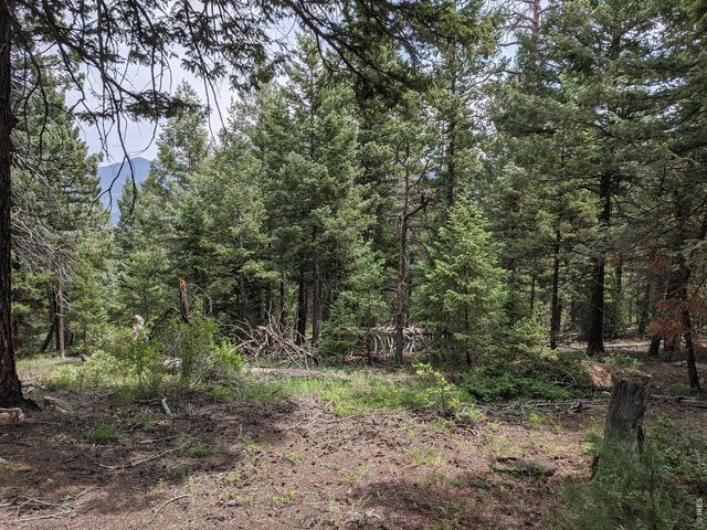 1312 Chute Rd, Golden, CO 80403