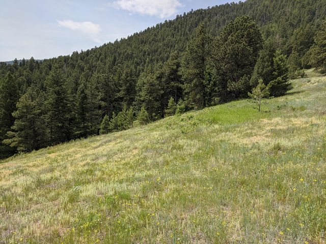 1312 Chute Rd, Golden, CO 80403