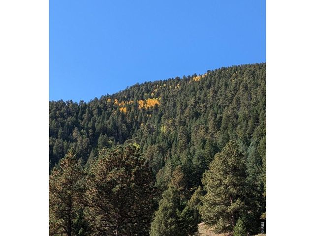 1312 Chute Rd, Golden, CO 80403
