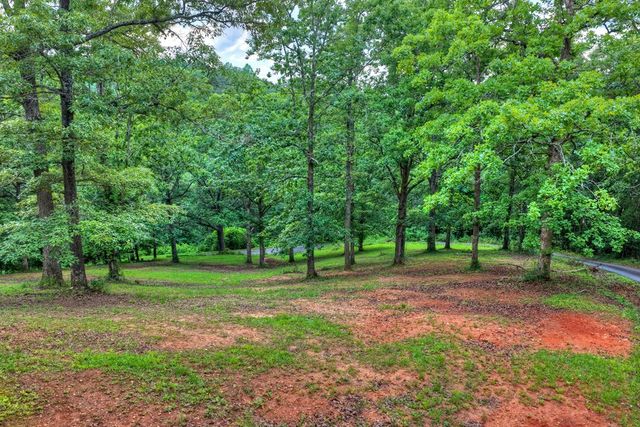 281 Pantertown Circle, Mineral Bluff, GA 30559