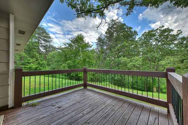 281 Pantertown Circle, Mineral Bluff, GA 30559