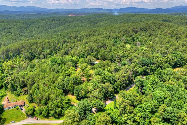 281 Pantertown Circle, Mineral Bluff, GA 30559