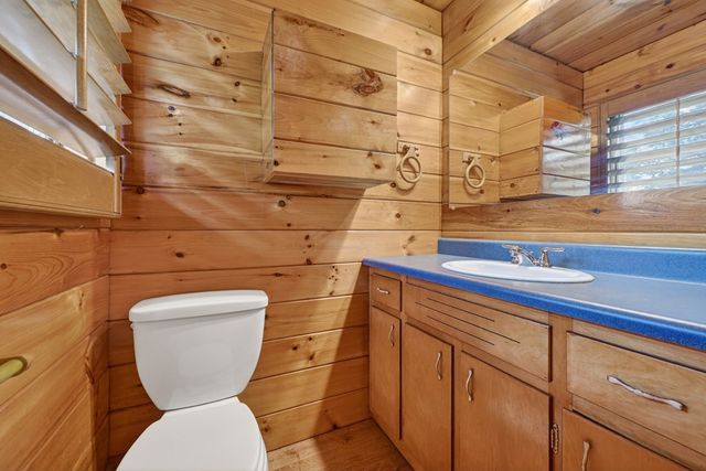 281 Pantertown Circle, Mineral Bluff, GA 30559