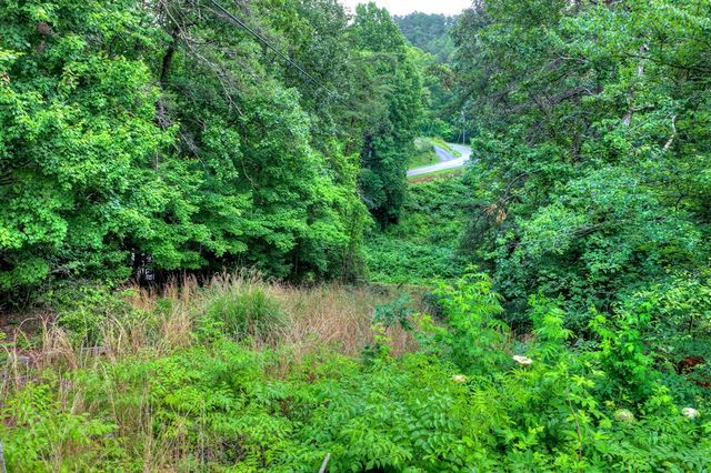 281 Pantertown Circle, Mineral Bluff, GA 30559