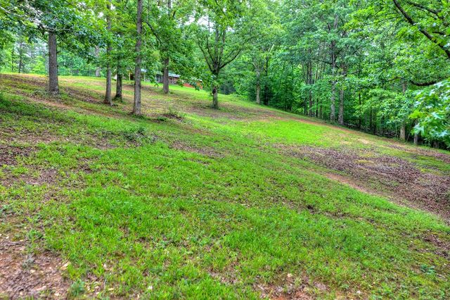 281 Pantertown Circle, Mineral Bluff, GA 30559