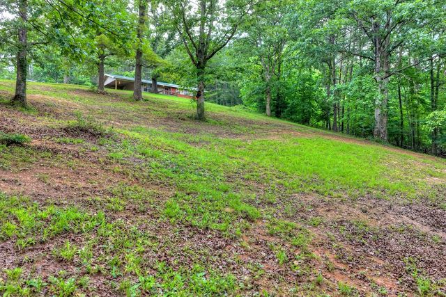281 Pantertown Circle, Mineral Bluff, GA 30559