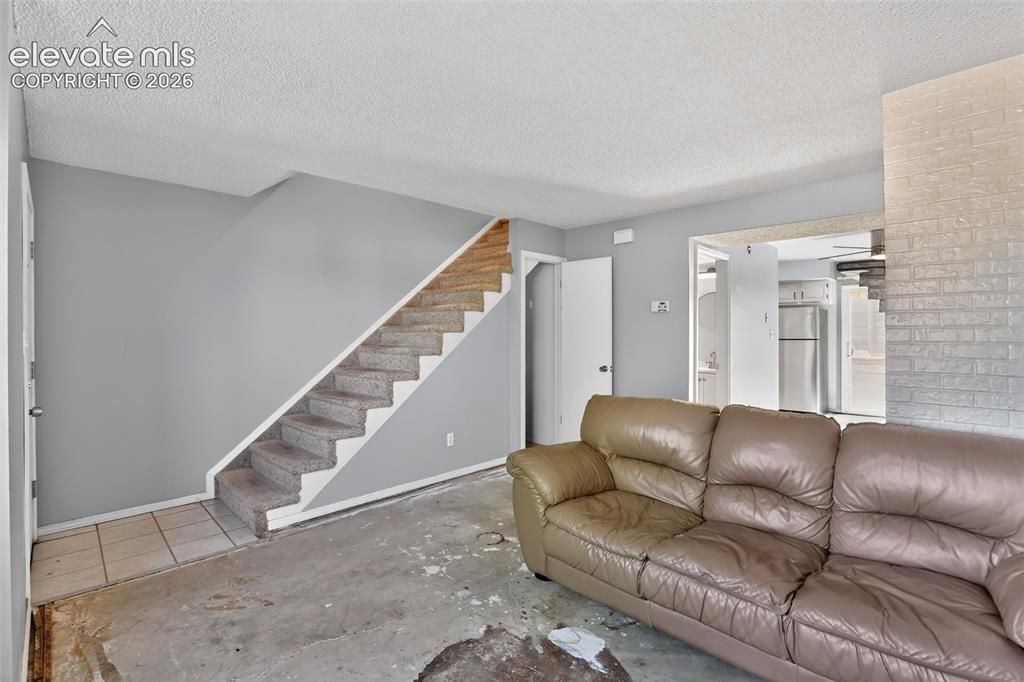 1469 Nokomis Drive, Colorado Springs, CO 80915 — photo 4
