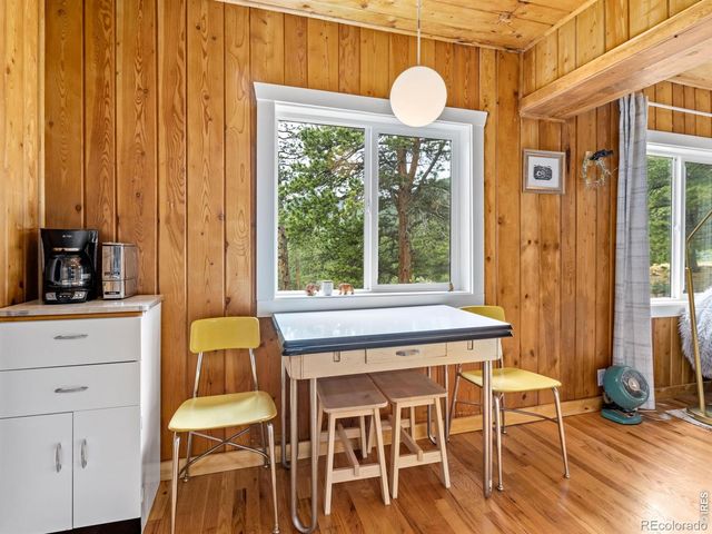 270 E Ski Road, Allenspark, CO 80510