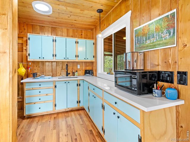 270 E Ski Road, Allenspark, CO 80510