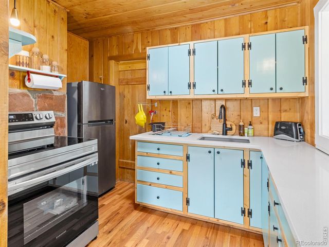 270 E Ski Road, Allenspark, CO 80510