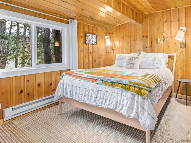 270 E Ski Road, Allenspark, CO 80510