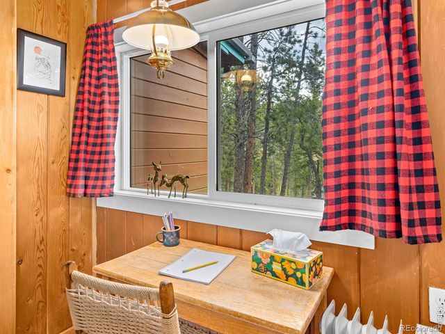 270 E Ski Road, Allenspark, CO 80510
