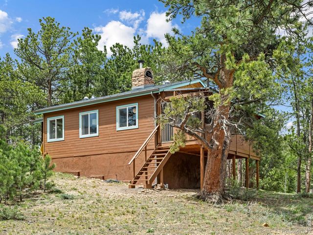 270 E Ski Road, Allenspark, CO 80510