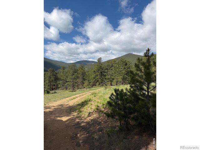 270 E Ski Road, Allenspark, CO 80510