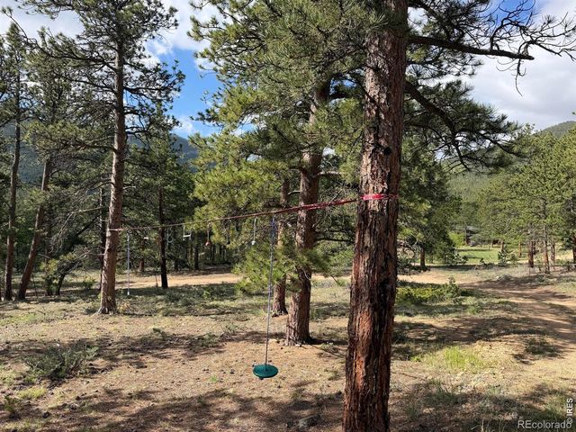270 E Ski Road, Allenspark, CO 80510
