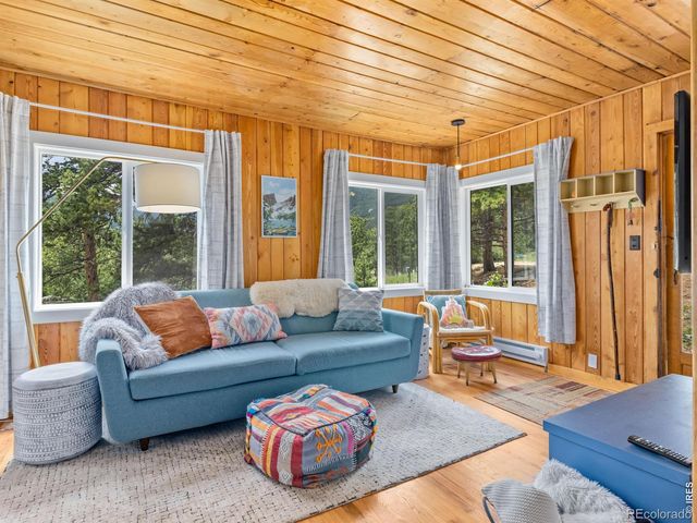 270 E Ski Road, Allenspark, CO 80510