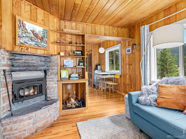 270 E Ski Road, Allenspark, CO 80510