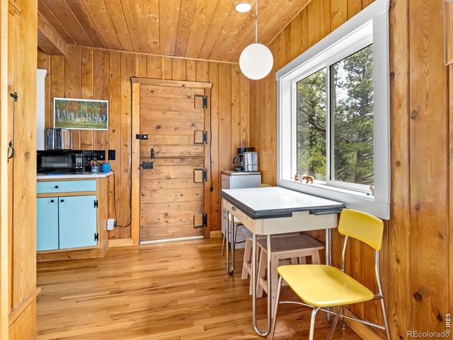 270 E Ski Road, Allenspark, CO 80510